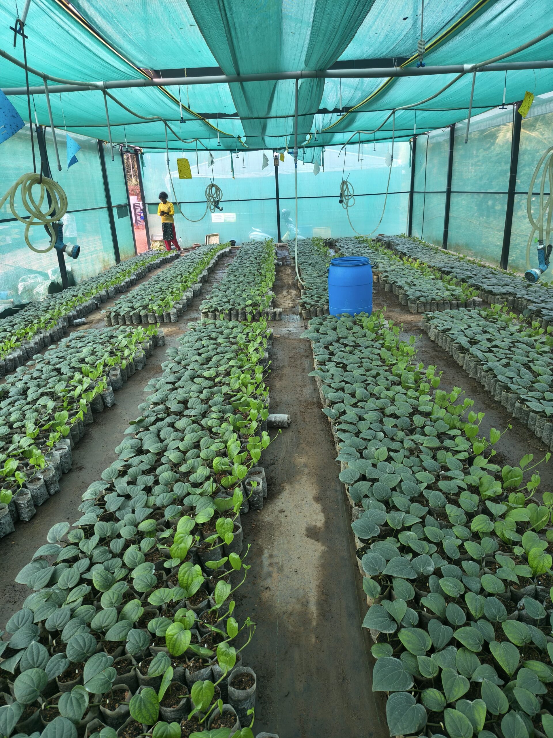 WhatsApp Image 2026-01-12 at 10.49.01