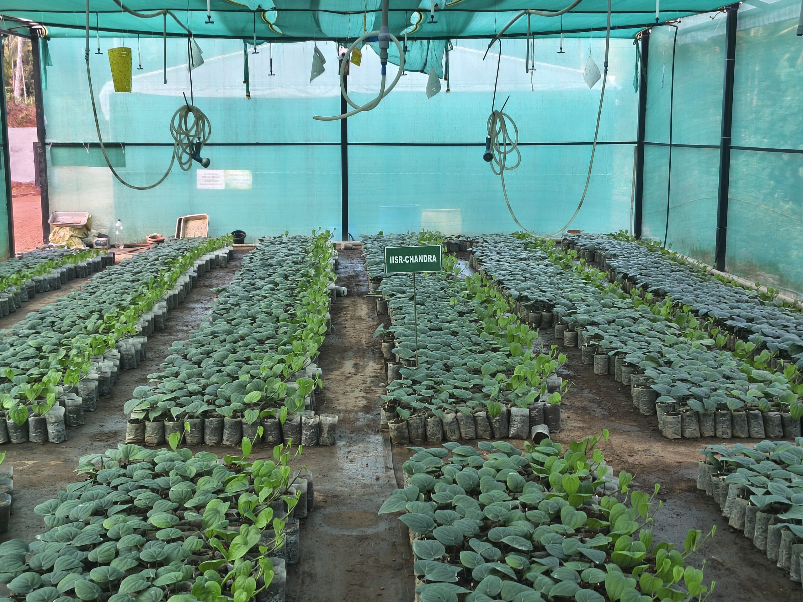 WhatsApp Image 2026-01-12 at 10.49.02